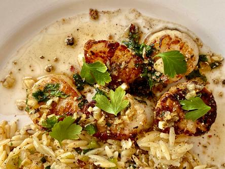 Seared Scallops with Orzo